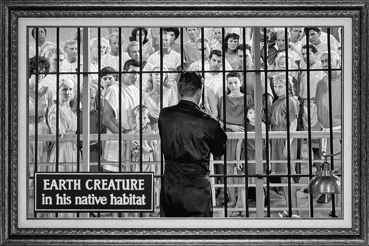 People Are Alike All Over People Are Alike All Over